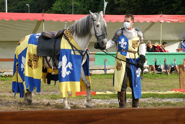 年轻阵容为 年轻阵容为