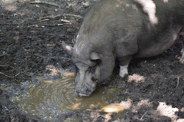 来了重大影 来了重大影