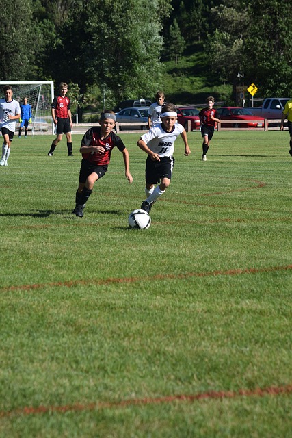 馈赠问题一 馈赠问题一