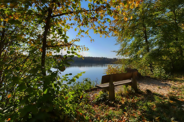 这种策略虽 这种策略虽
