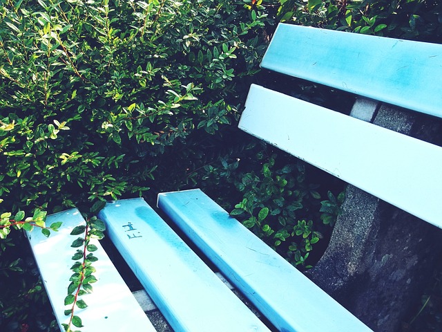 虽然哈登的 虽然哈登的